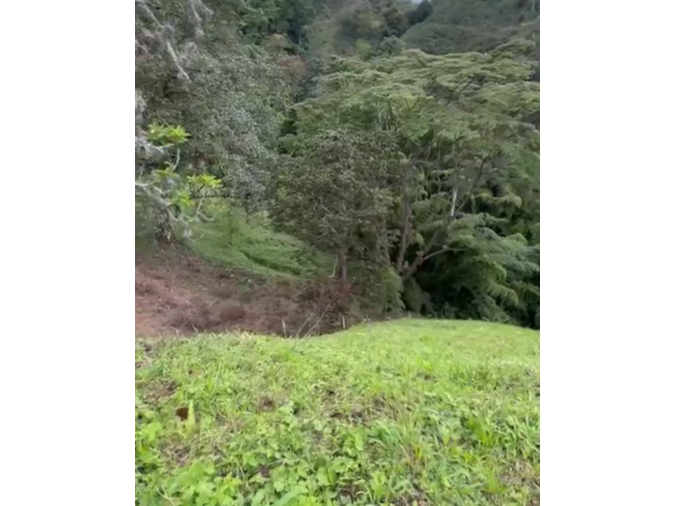 LOTE EN VENTA EN VEREDA ALTO MINITAS MANIZALES | VENTA LOTE — foto 6