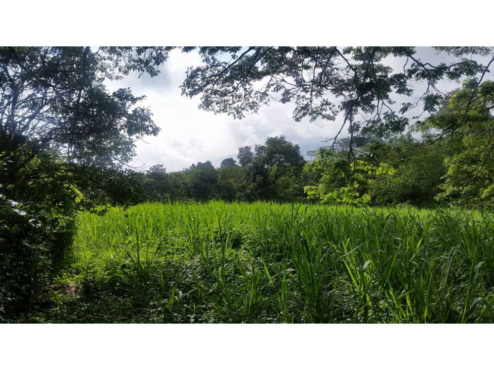 LOTE EN VENTA EN SANTÁGUEDA PALESTINA | LOTES EN VENTA - 6