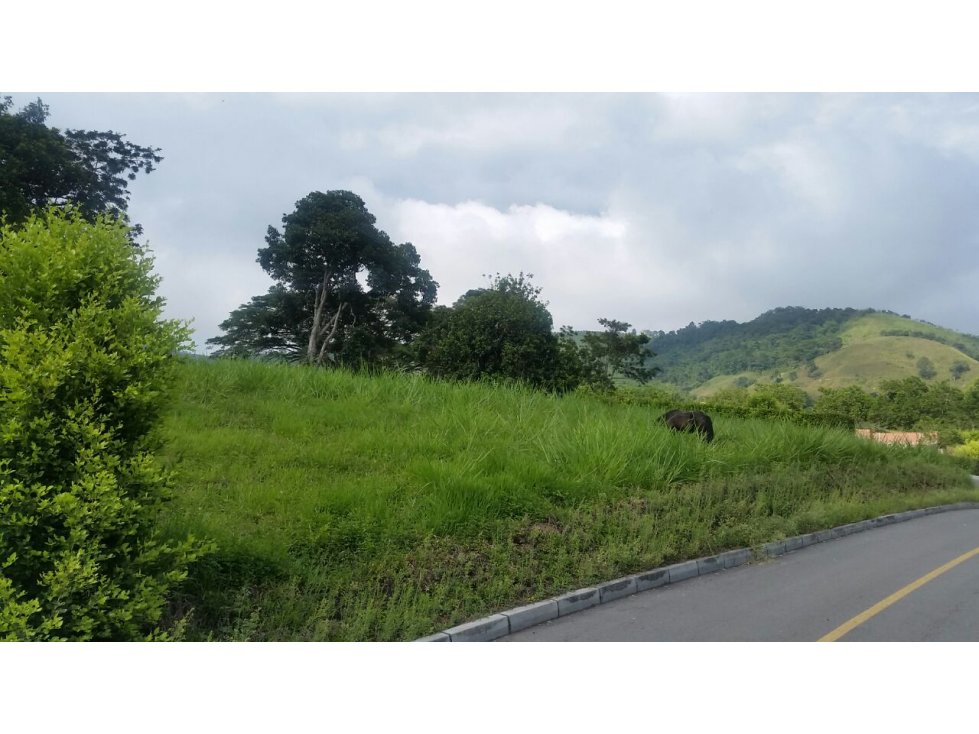 LOTE EN VENTA EN SANTÁGUEDA PALESTINA | LOTES EN VENTA - 6