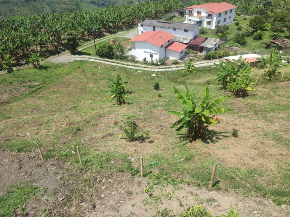 VENTA LOTE EN PALESTINA, CALDAS | LOTES EN VENTA - 5