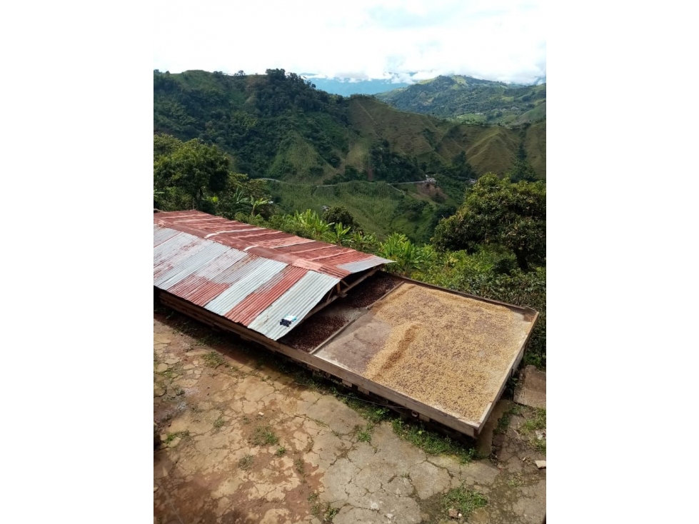VENTA FINCA VEREDA EL DESCANSO NEIRA 108.800m² | FINCA EN VENTA - 6