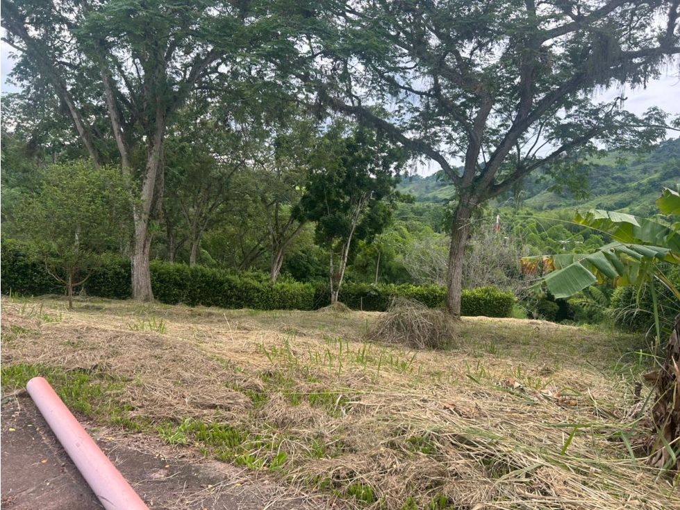VENTA LOTE PARA CASA CAMPESTRE Km 41 PALESTINA | LOTE EN VENTA - 6