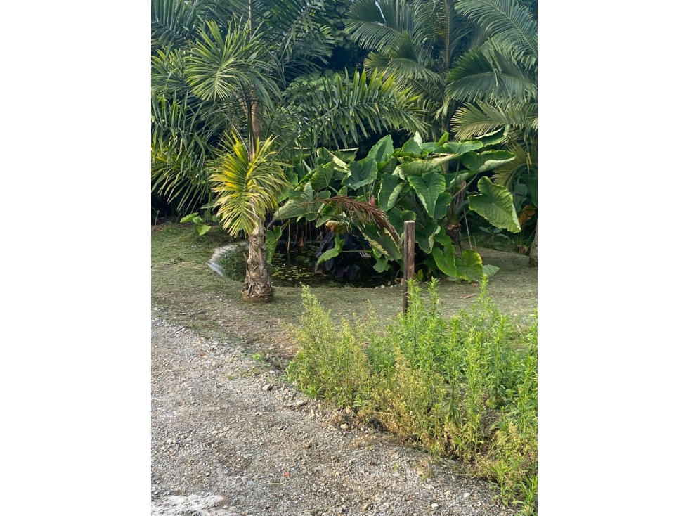 VENTA DE LOTE EN EL ARENILLO, MANIZALES | LOTES CAMPETRES EN VENTA — foto 6