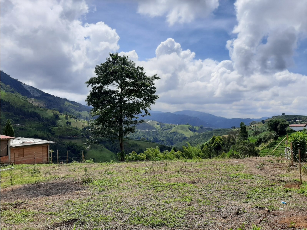 LOTE EN VENTA EN LA SIRIA, MANIZALES | VENTA DE LOTES — foto 6