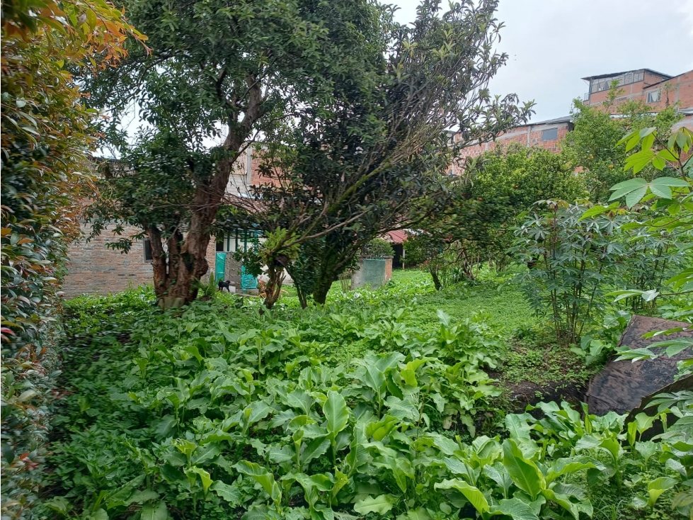 CASA LOTE EN VENTA EN CENTRO DE VILLAMARÍA | VENTA CASA — foto 6