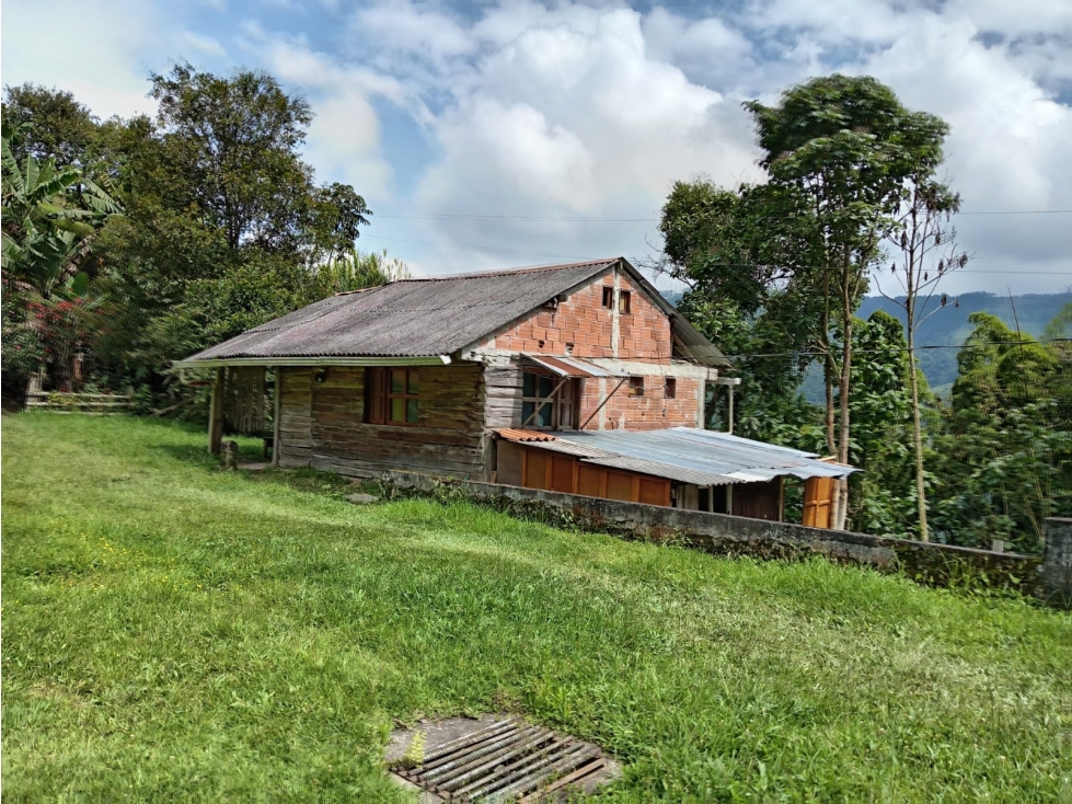 FINCA EN VENTA EN ALTO BONITO MANIZALES | VENTA DE FINCA PRODUCTIVA — foto 6