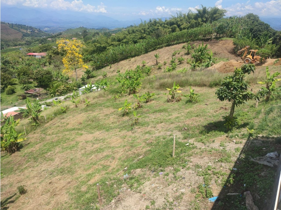 VENTA LOTE EN PALESTINA, CALDAS | LOTES EN VENTA - 6