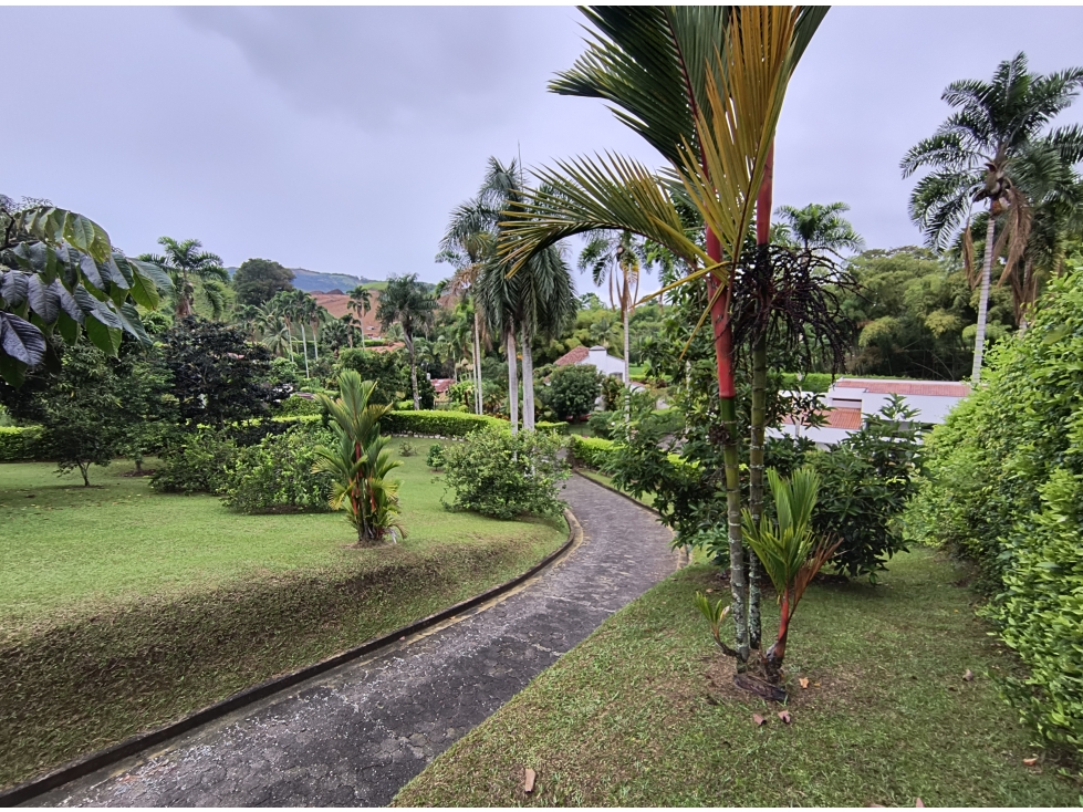VENTA LOTE EN SAN BERNARDO DEL VIENTO, MANIZALES | LOTES CAMPESTRES — foto 3
