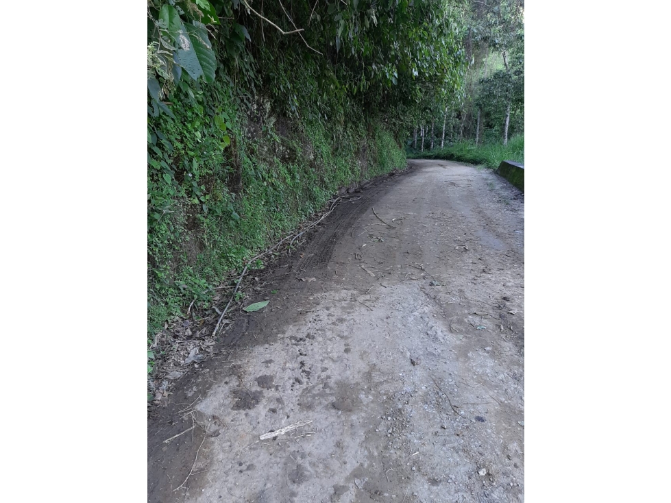 VENTA LOTE EN LA LINDA, MANIZALES | LOTES EN VENTA — foto 5