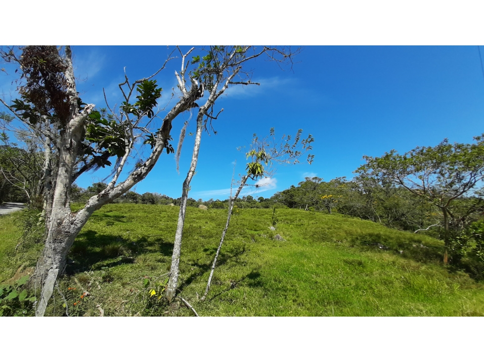 Venta de Lote 2 Hs, Barbosa, Santander - 2