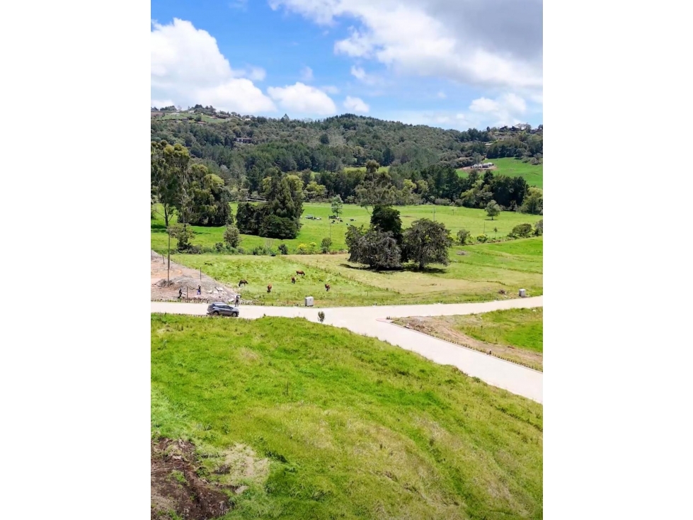 Lote Alto de Palmas Unidad Cerrada