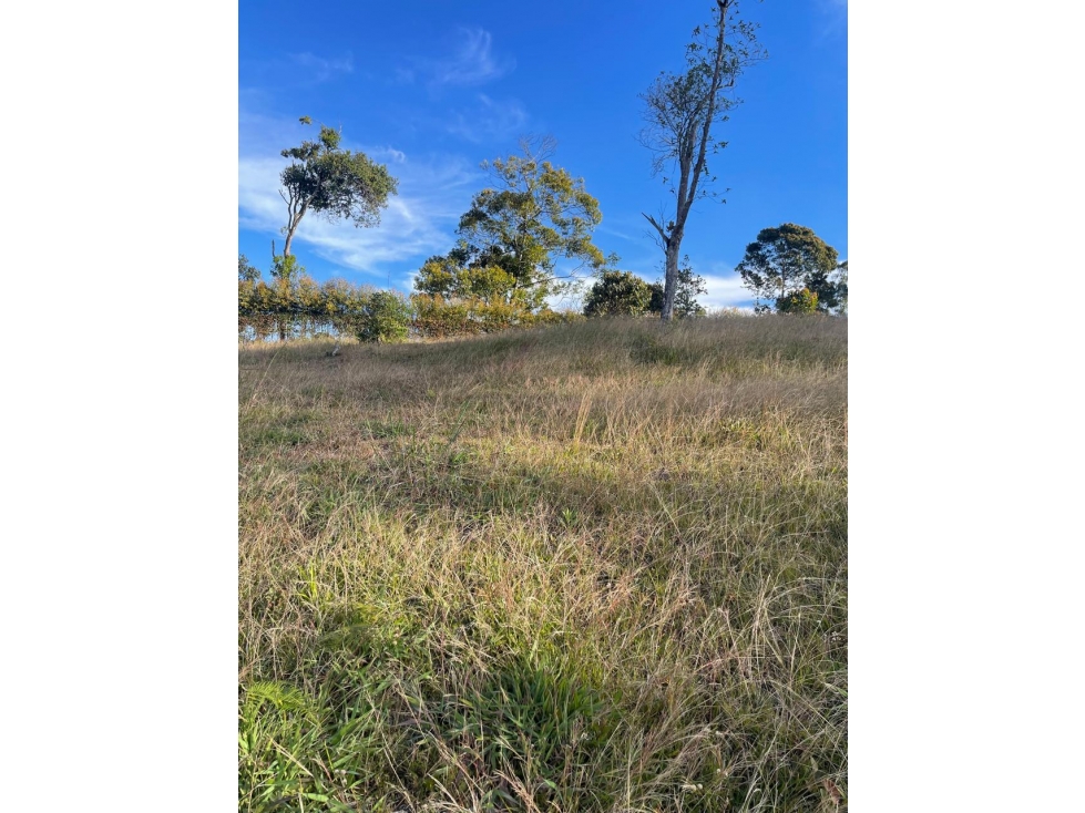 Lote en San Antonio de Pereira - Sector Quirama — foto 3