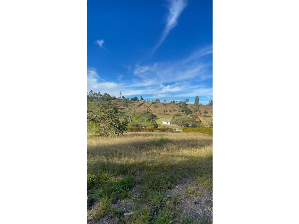 Lote en San Antonio de Pereira - Sector Quirama — foto 3