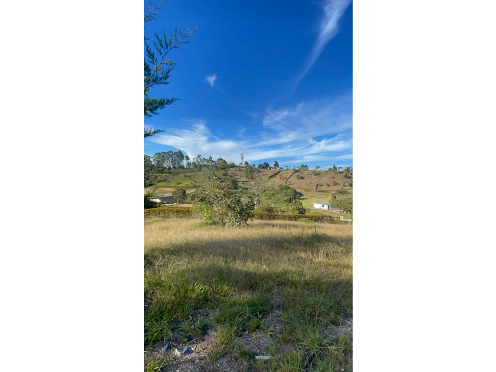Lote en San Antonio de Pereira - Sector Quirama — foto 5