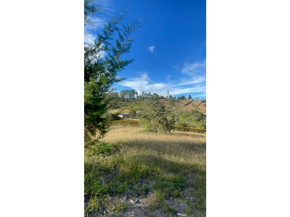 Lote en San Antonio de Pereira - Sector Quirama — foto 6