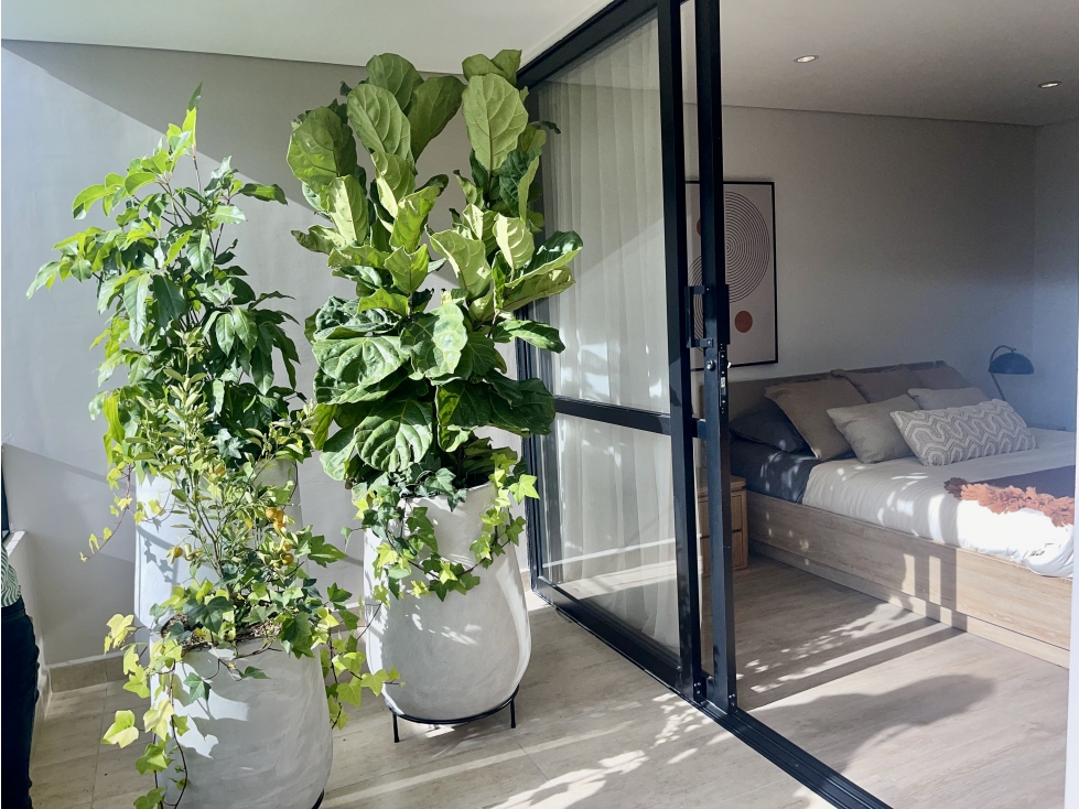 Venta-Suites Campestres - Vía El Retiro-Llanogrande- - 5