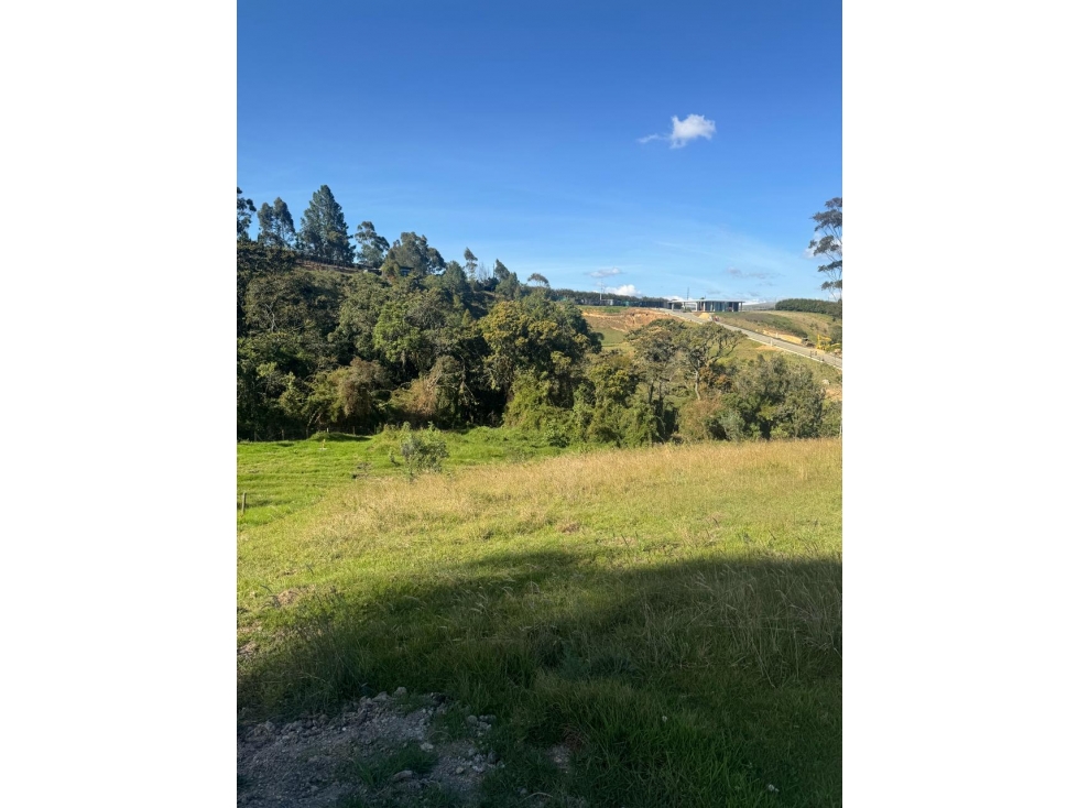 Vende Lote - Alto Palmas — foto 4
