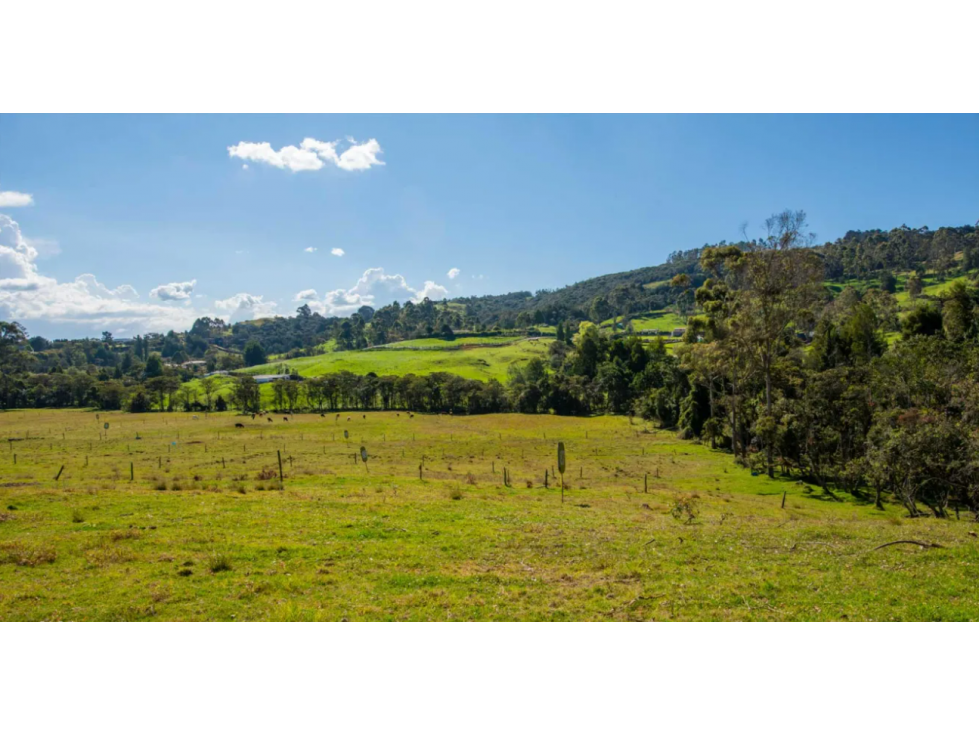 LOTE - Alto de Palmas
