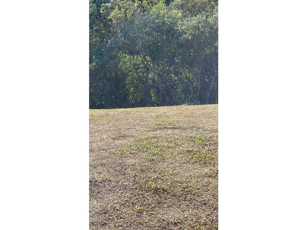 Lote en San Antonio de Pereira - Sector Quirama — foto 3