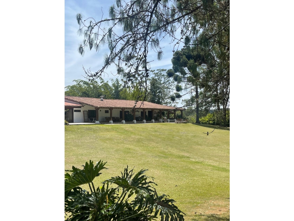 Finca - Sector Aeropuerto José María Córdoba, Rionegro