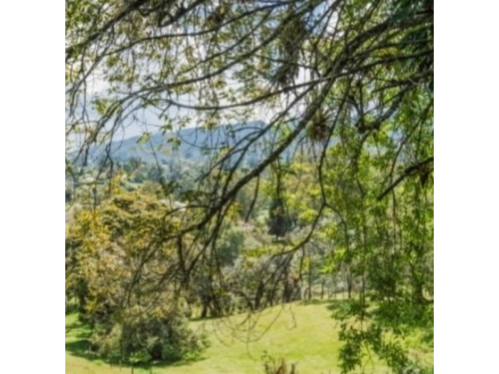 Venta de Lote en El Retiro - Sector Fizebad — foto 4