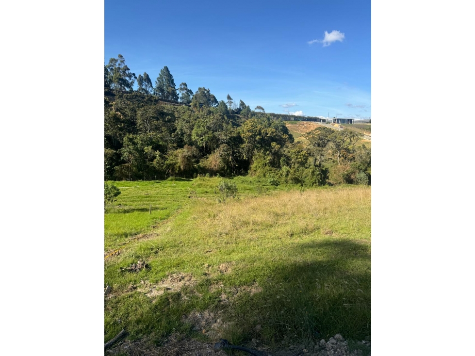 Vende Lote - Alto Palmas — foto 2