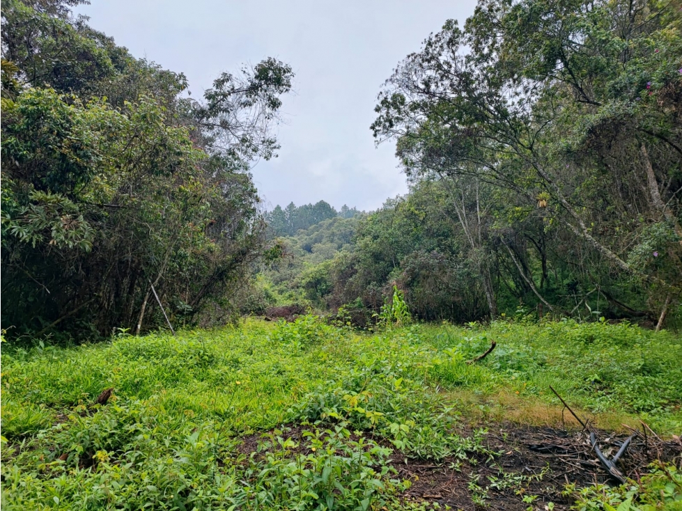 Gran oportunidad!! Lote en Guarne, Antioquia — foto 4