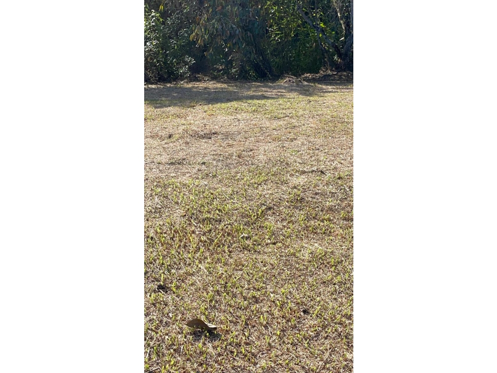 Lote en San Antonio de Pereira - Sector Quirama — foto 4