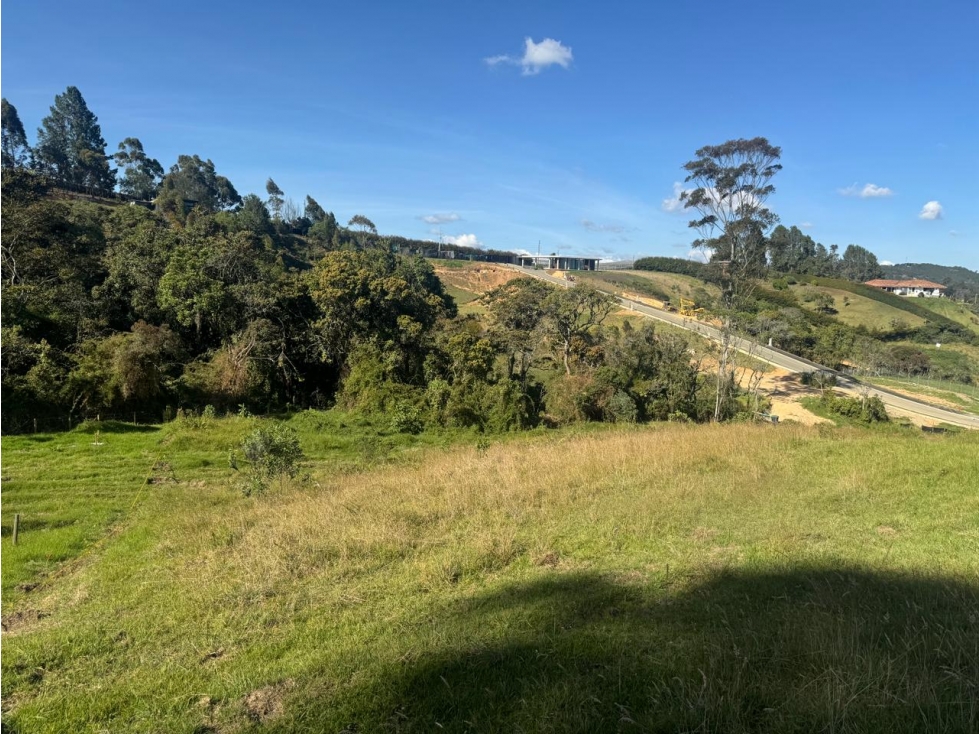 Vende Lote - Alto Palmas
