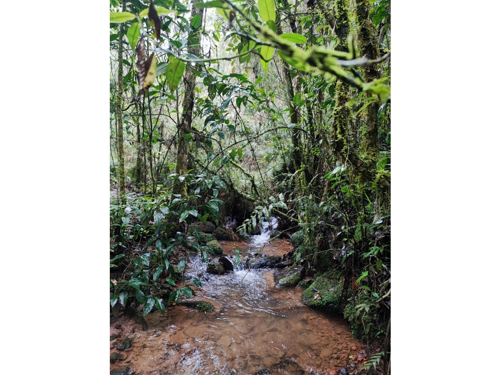 Gran oportunidad!! Lote en Guarne, Antioquia — foto 5