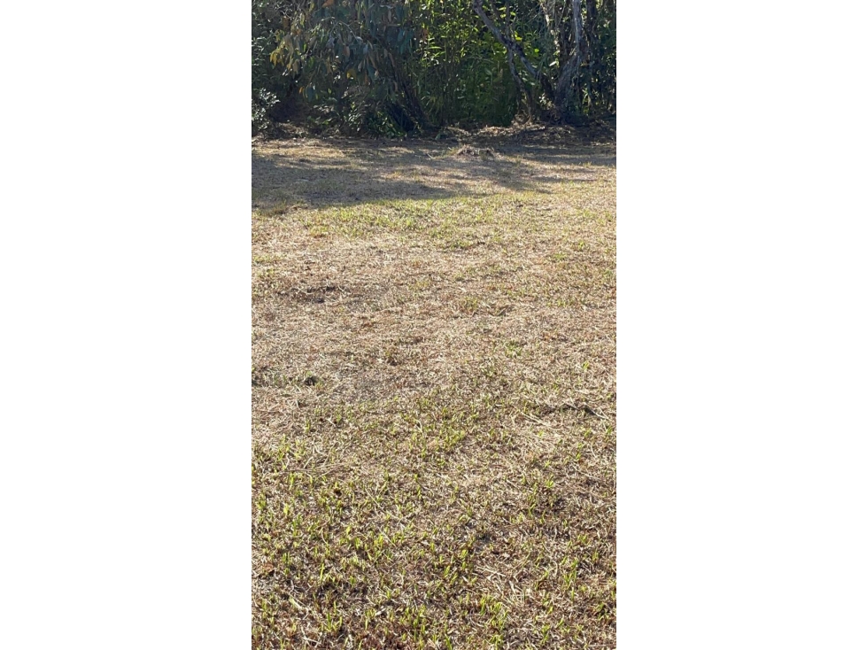 Lote en San Antonio de Pereira - Sector Quirama — foto 5