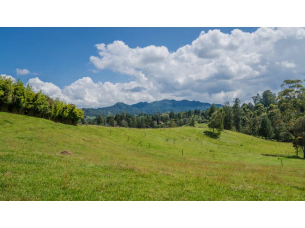 Venta de Lote en El Retiro - Sector Fizebad