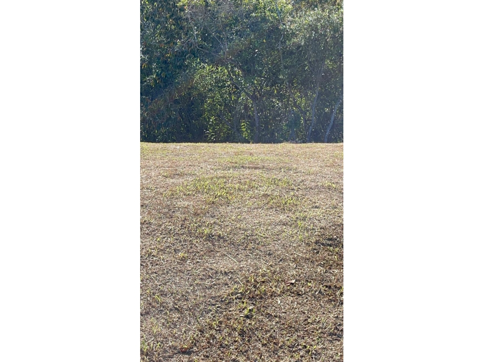 Lote en San Antonio de Pereira - Sector Quirama — foto 6