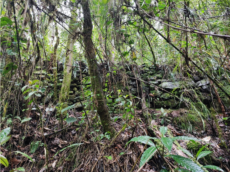 Gran oportunidad!! Lote en Guarne, Antioquia — foto 6