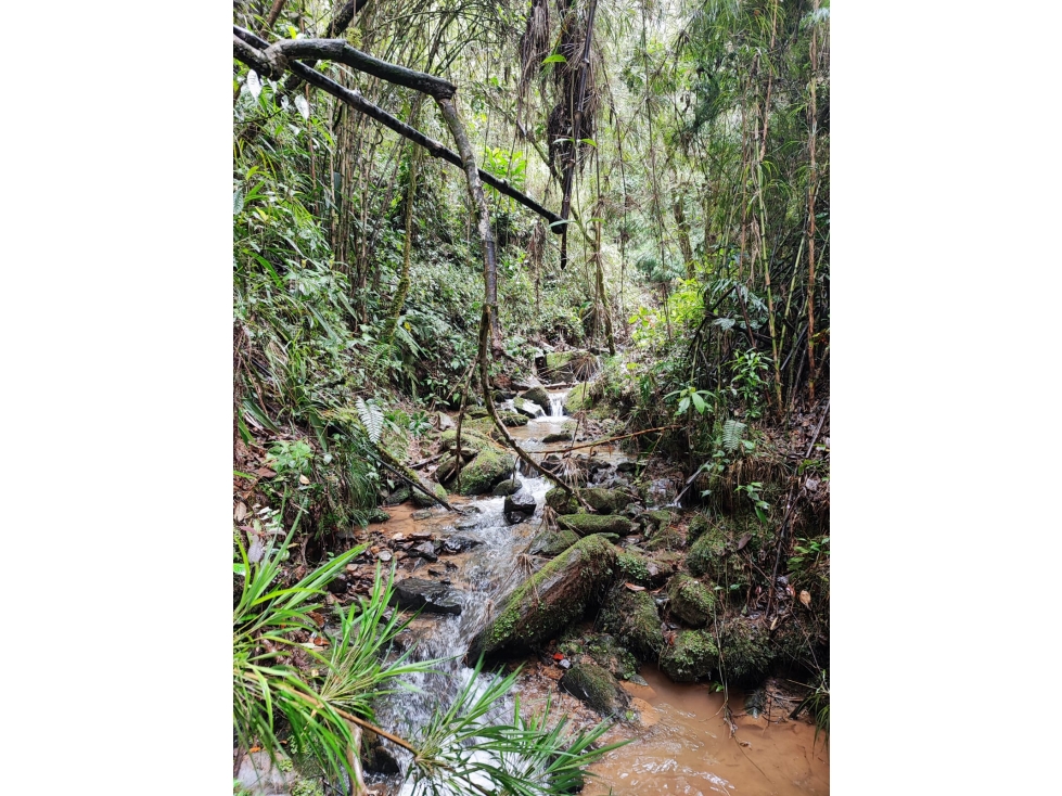 Gran oportunidad!! Lote en Guarne, Antioquia — foto 2