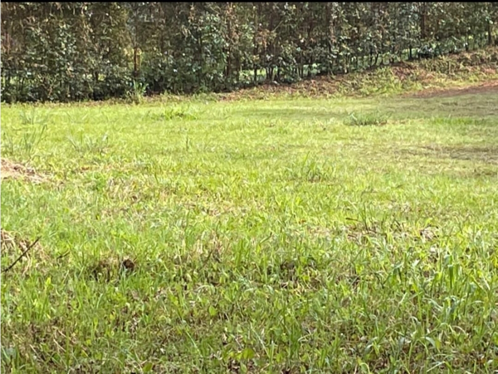 Lote en Venta La Ceja — foto 3