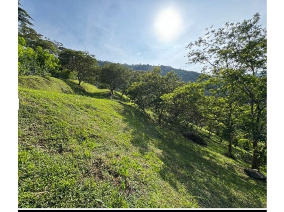 Lote en Venta en Titiribí Antioquia - 1