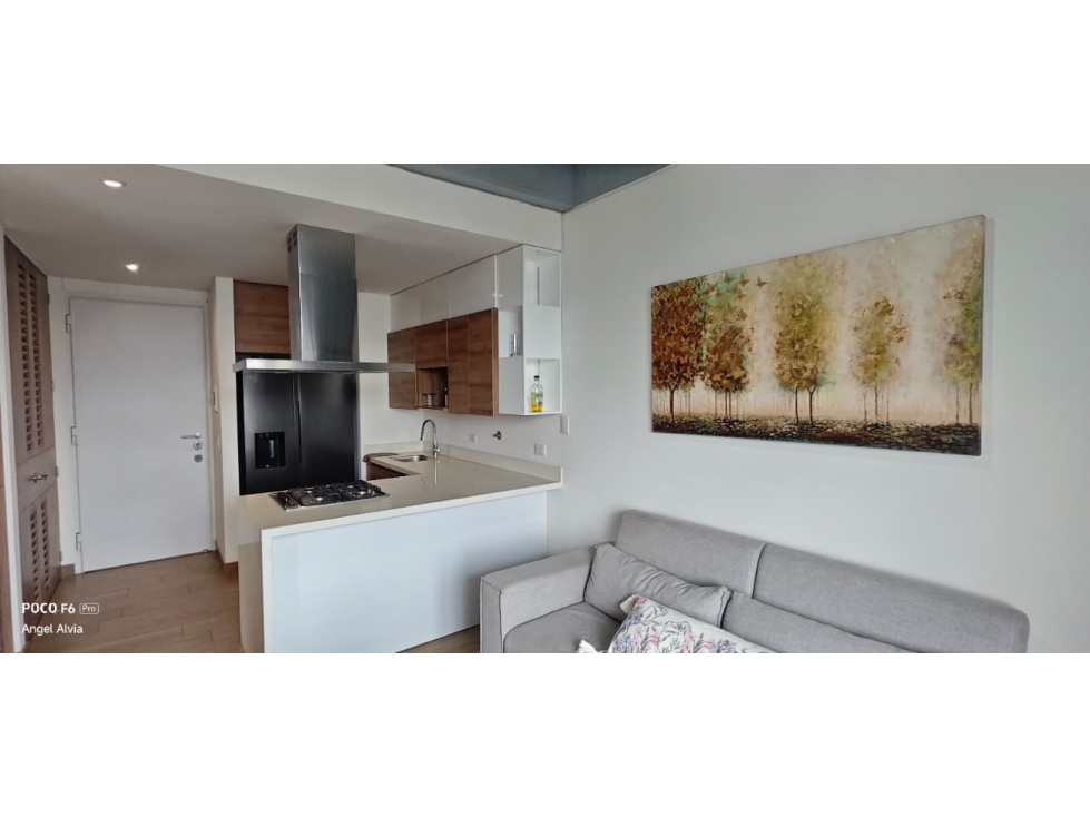 Apartaestudio Amoblado En Arriendo Sector Ciudad Del Rio