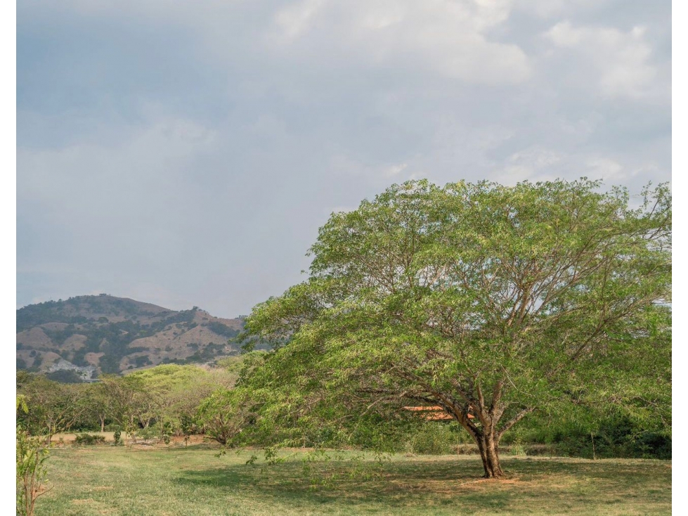Lote en el Sector de Bolombolo