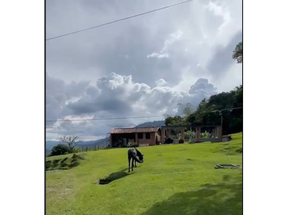Finca de recreo en Arriendo El Limonar Girardota - 5