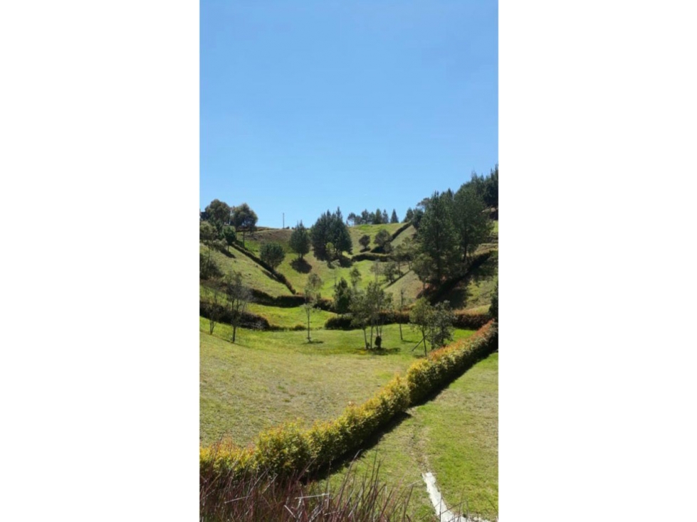 Lote en Venta San Felix Bello — foto 3