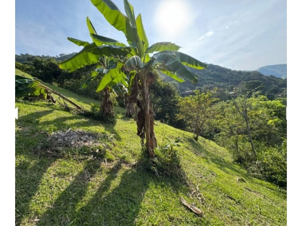 Lote en Venta en Titiribí Antioquia - 3