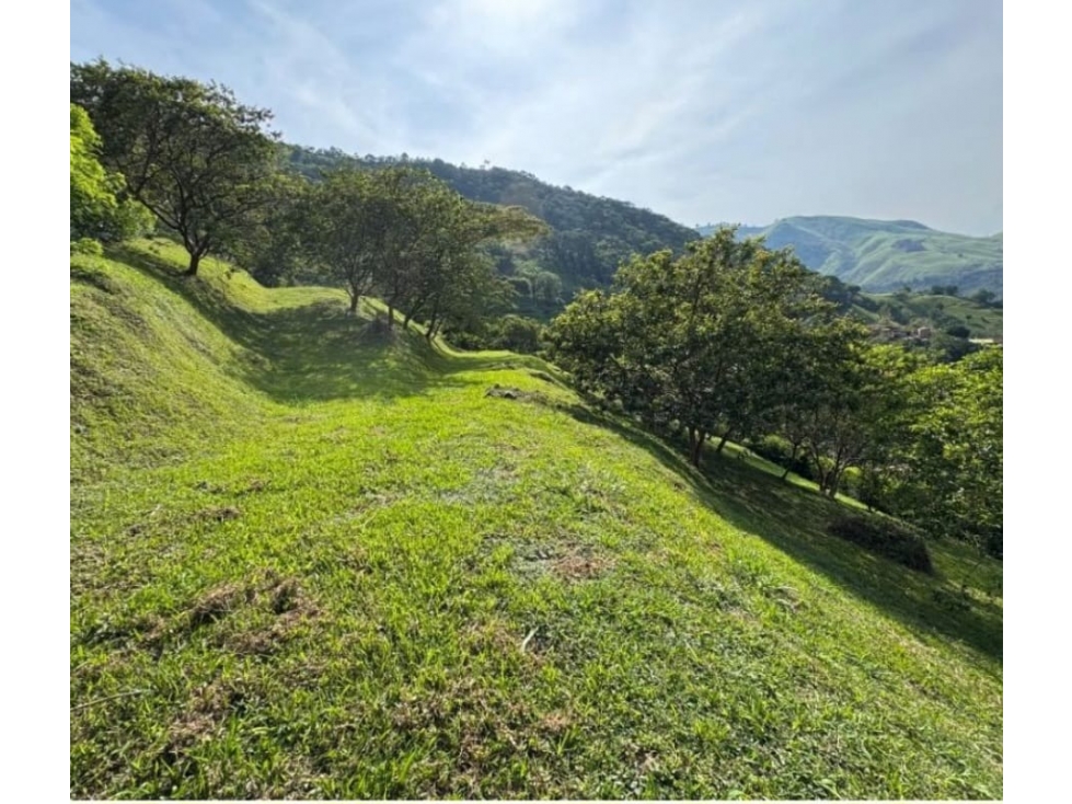 Lote en Venta en Titiribí Antioquia - 4