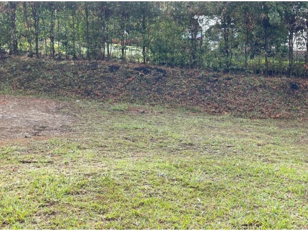 Lote en Venta La Ceja — foto 5