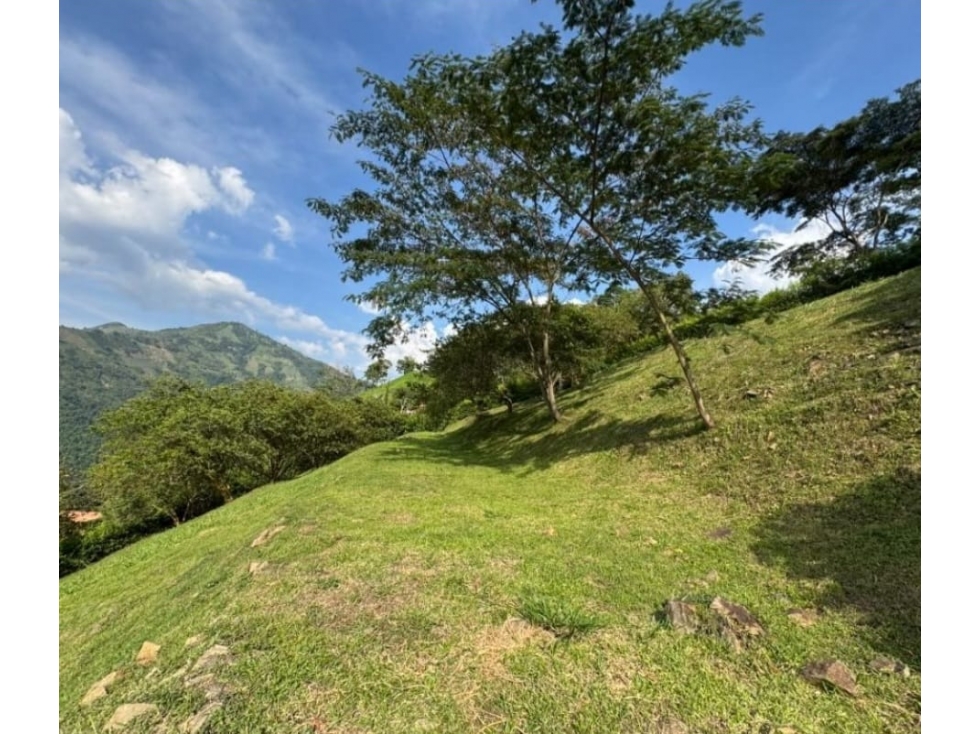 Lote en Venta en Titiribí Antioquia - 5