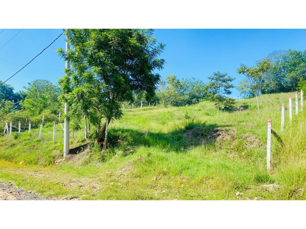 LOTE EN VENTA EN AGUA DE DIOS - VIA TOCAIMA - CUNDINAMARCA - 1