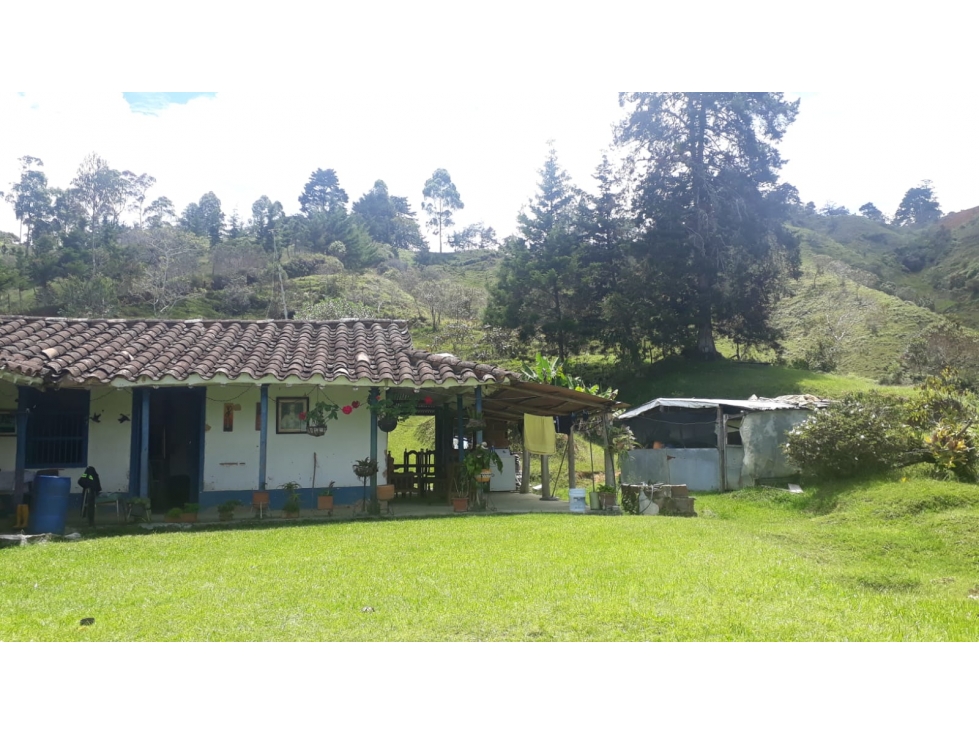 CASA EN VENTA EN SANTO DOMINGO ANTIOQUÍA - 1