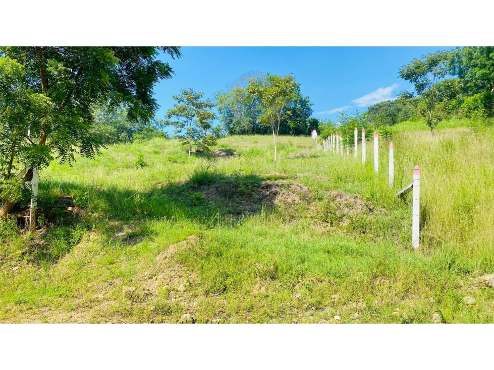LOTE EN VENTA EN AGUA DE DIOS - VIA TOCAIMA - CUNDINAMARCA - 2