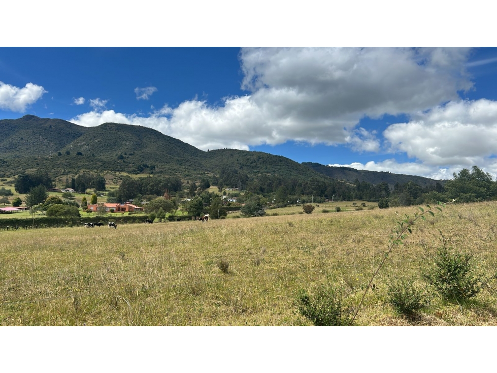 LOTE EN VENTA EN GUSCA VEREDA EL SANTUARIO - 2