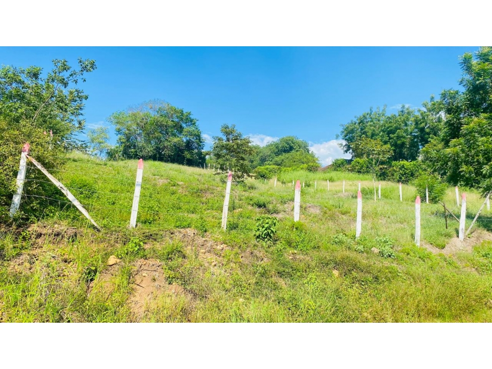 LOTE EN VENTA EN AGUA DE DIOS - VIA TOCAIMA - CUNDINAMARCA - 3